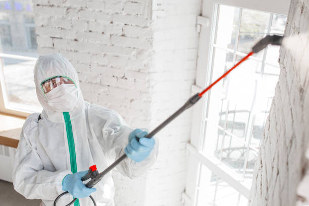 Best Mold Remediation for Healthcare Facilities  in Cutchogue, NY